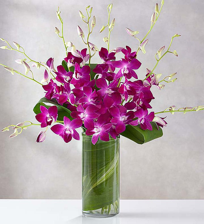 Orchid's Embrace Bouquet